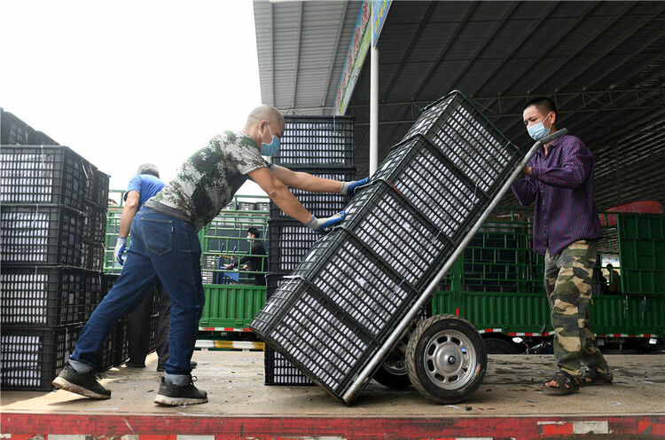 畅通双循环 共享大市场——从东博会看中国新发展格局下的物流新脉动
